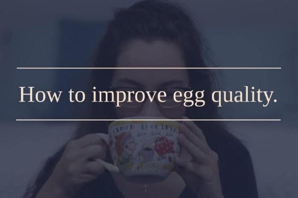 5 Ways to Improve Your Egg Quality