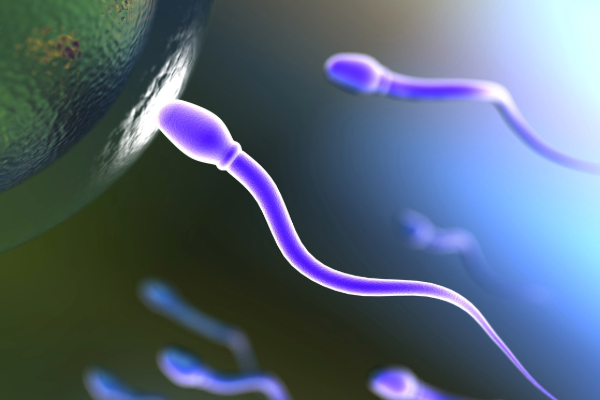 Can Your Egg and Sperm Age Be Younger Than Your Actual Age? Understanding Biological Fertility Age
