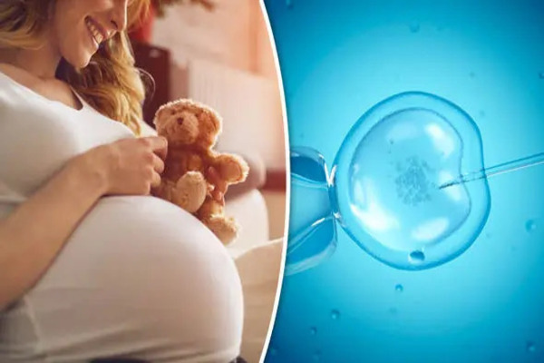 IVF in Summer: Preparing Your Mind & Body for Treatment