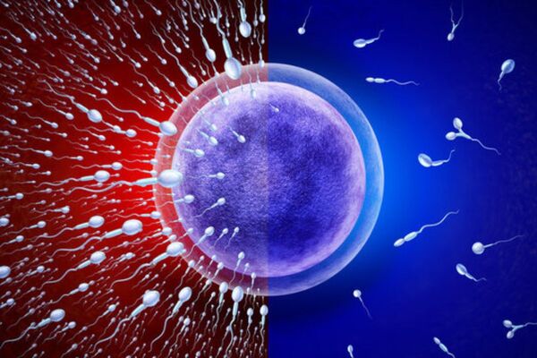 Male Fertility Matters: Understanding Sperm Health and Modern Solutions