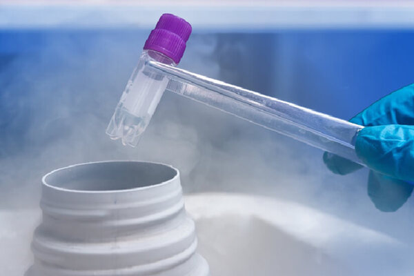 March into Fertility: Why Egg Freezing Empowers Women to Choose Their Timeline