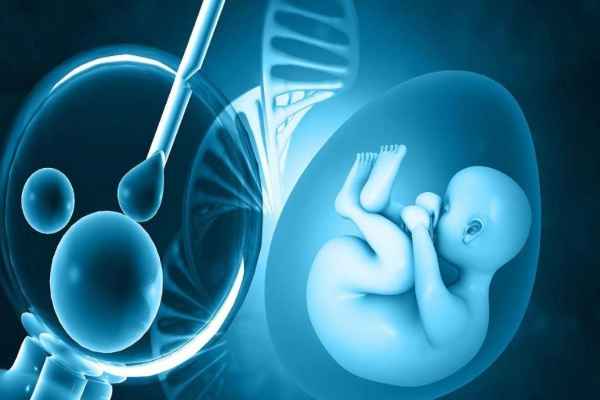 ️ Understanding Your First IVF Cycle: What to Expect & How to Prepare